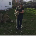 Halil
