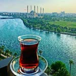 Yonca