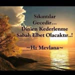 Suna