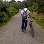 Arif