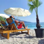 Tolga