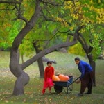 Erhan