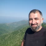 Doğan
