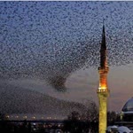 Kübra