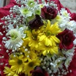Merve