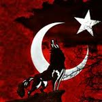 Yilmaz