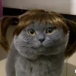 Fatma