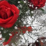 Hicran
