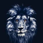 Hasan