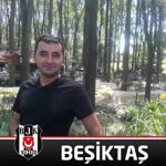 Halis