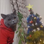 Atakan