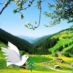 Bayram