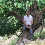 Bülent