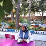 Habibe