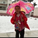 Buse
