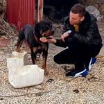 Mert