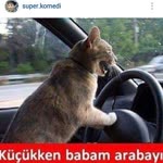 Yusuf