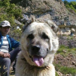 İmdat