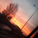 Çiçek