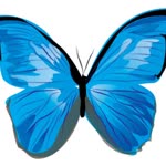 Hatice