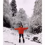 Umut