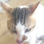 Furkan