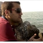 Ferit