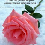 Nahyer