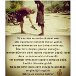 Orhan