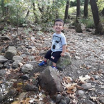 Deniz