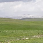 Talip