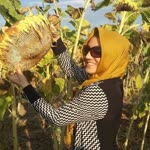 Gülşah