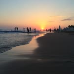 Halil