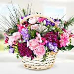 Ayse