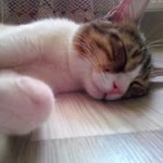 Filiz