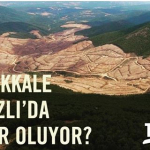Didem