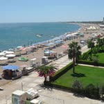 Süreyya