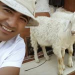 Fatih