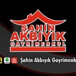 Şahin