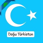 Sayim