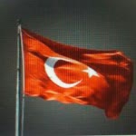 Tamer