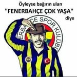 Haydar