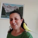 Nilay