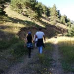 Barış
