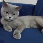 Esra