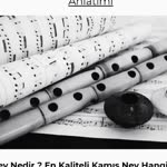 Tayip