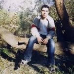 Şahin
