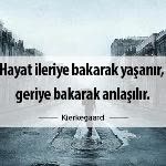 Orhan