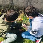 Ezgi