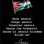 Sezer